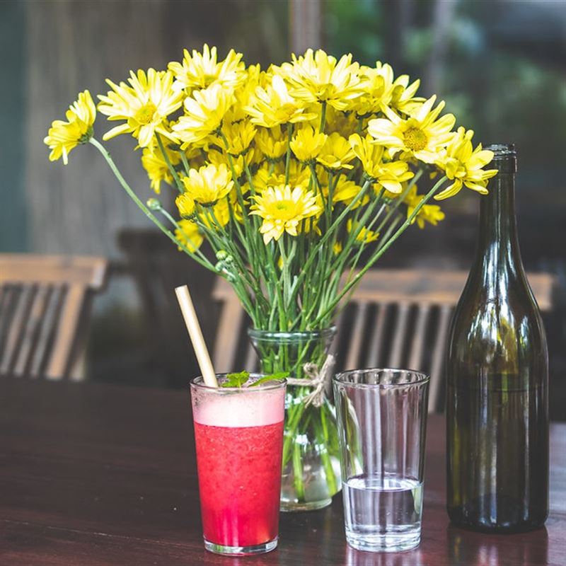 Kokum Mint Fizz